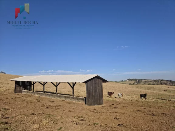 Imagem Fazenda a venda Capão Bonito SP