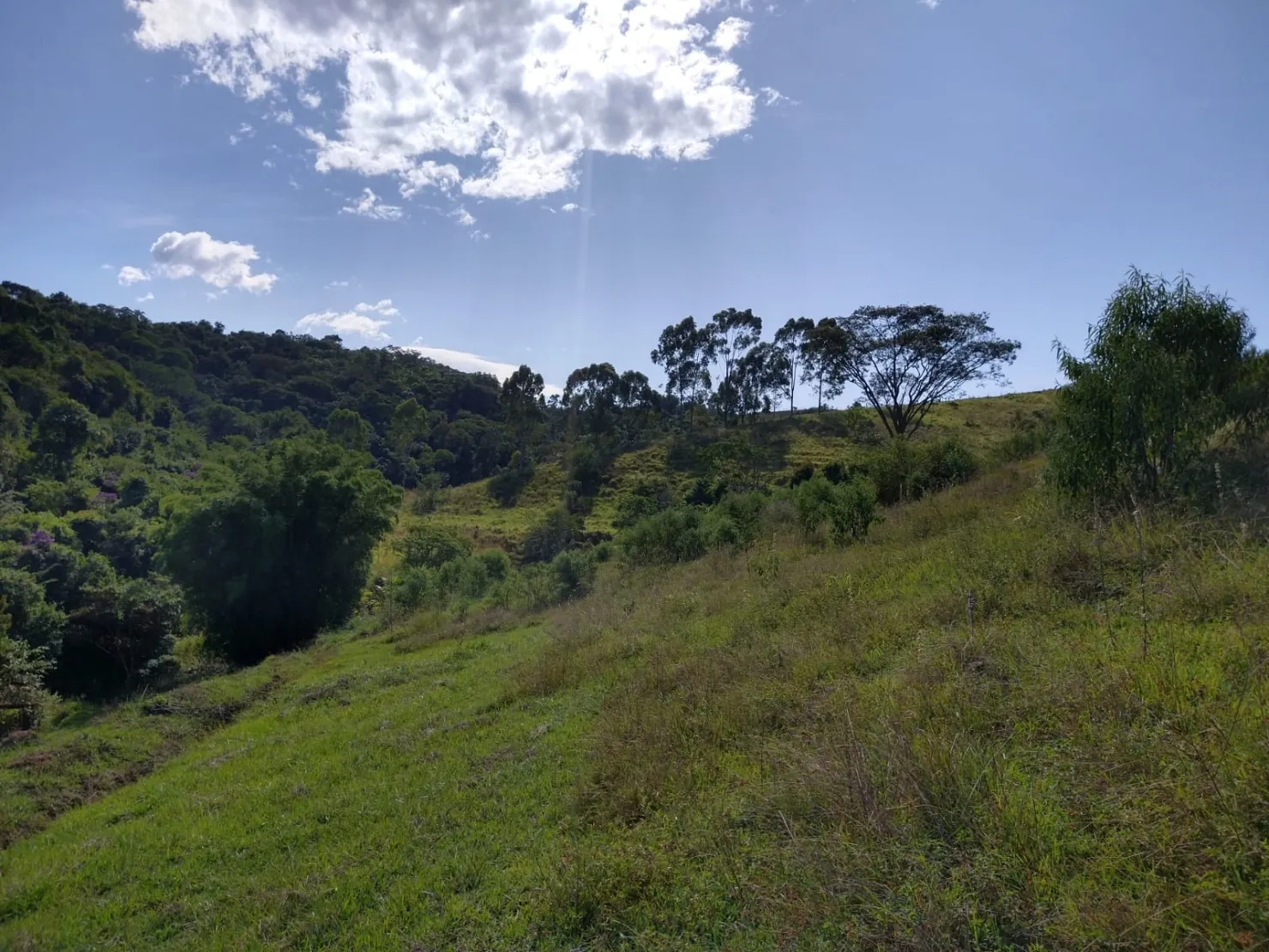 Imagem Chácara à venda 2 Quartos, 6 Vagas, 65000M², Sete Voltas, Taubaté - SP