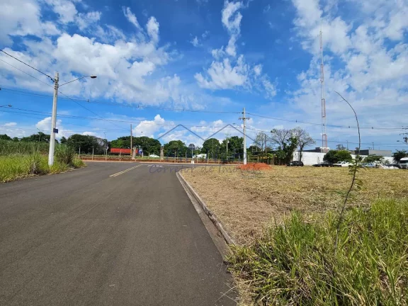 Imagem Terreno Padrão