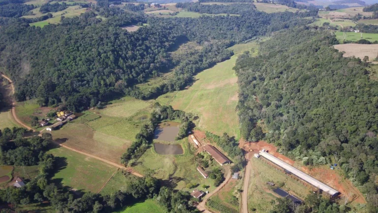 Imagem Área Agrícola para Venda em Concórdia, Interior