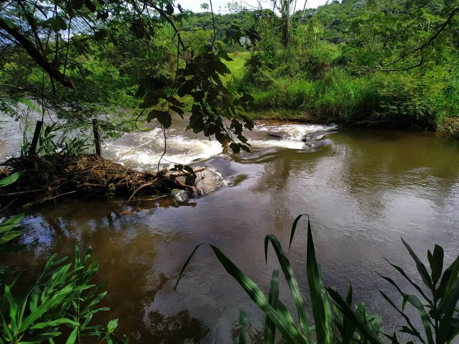 Imagem Chácara à venda 170000M², Bom Sucesso, Pindamonhangaba - SP