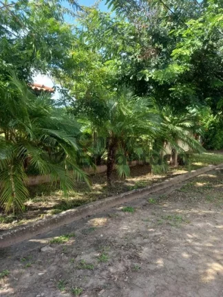 Imagem Rancho em Buritama