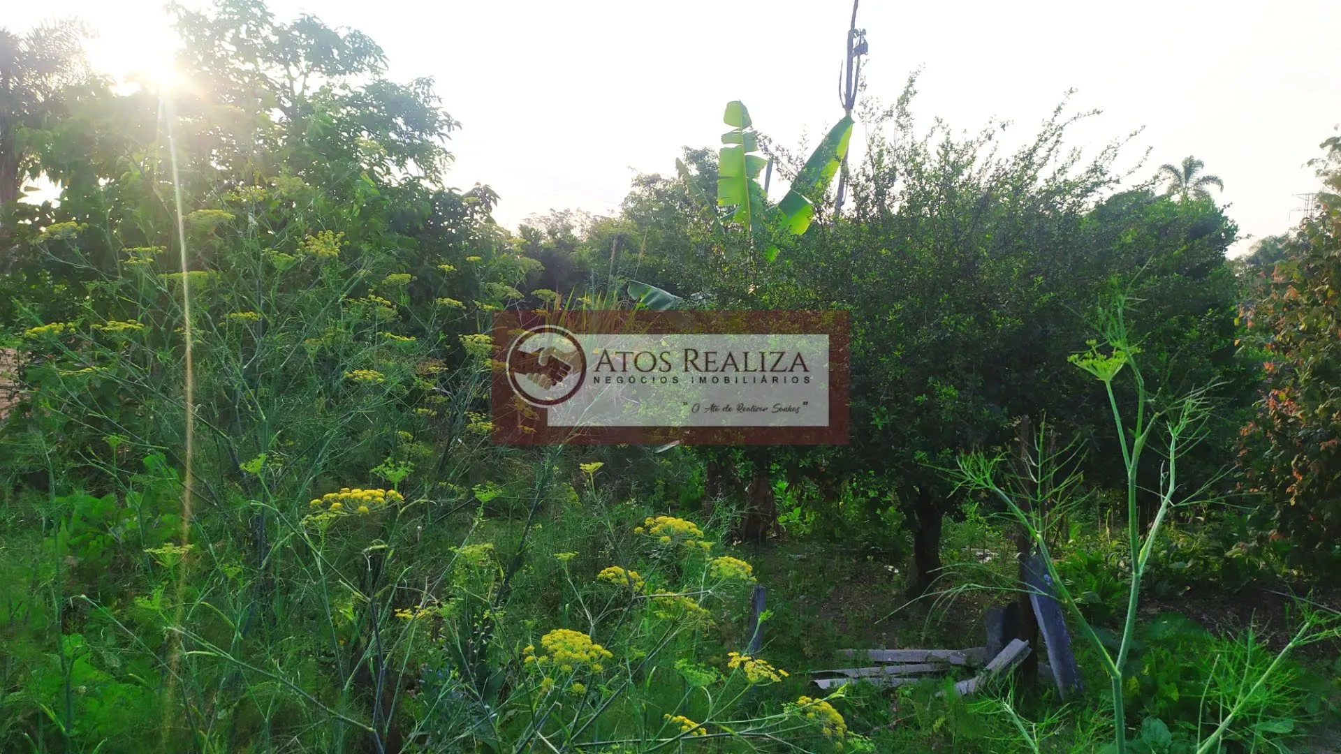 Imagem Compre Rancho/ Chácara em Jardim Santa Tereza - São Paulo