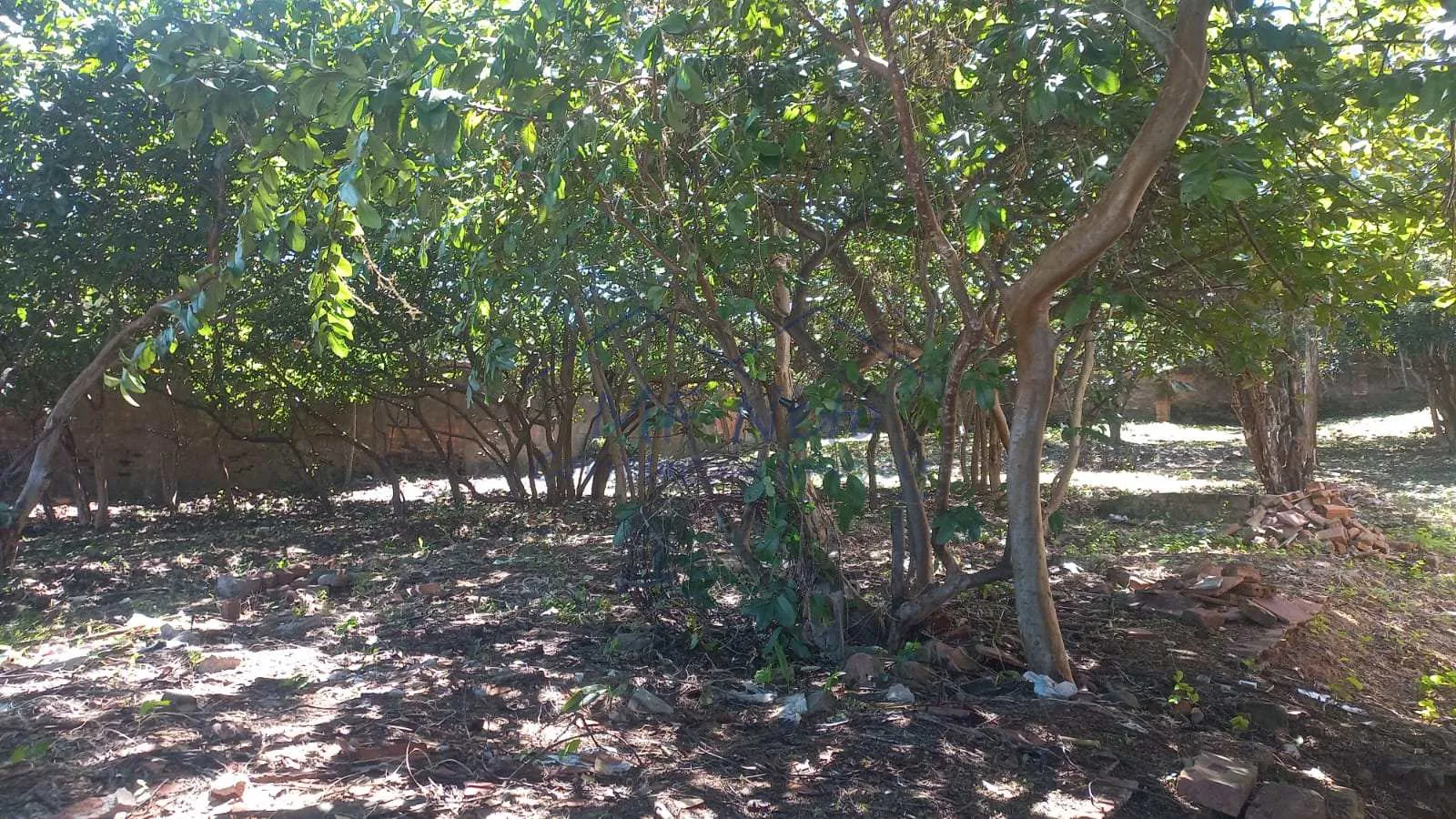 Imagem Terreno Padrão