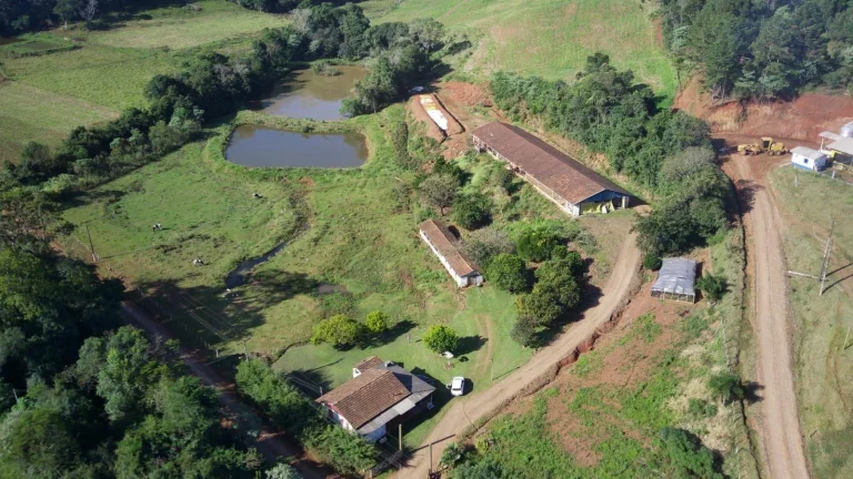 Imagem Área Agrícola para Venda em Concórdia, Interior