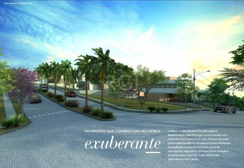 Imagem Terreno em Coronel Nassuca