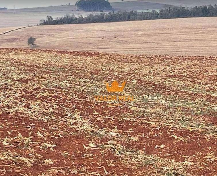 Imagem À Venda: Fazenda dos Sonhos em Santa Cruz do Rio Pardo - SP!