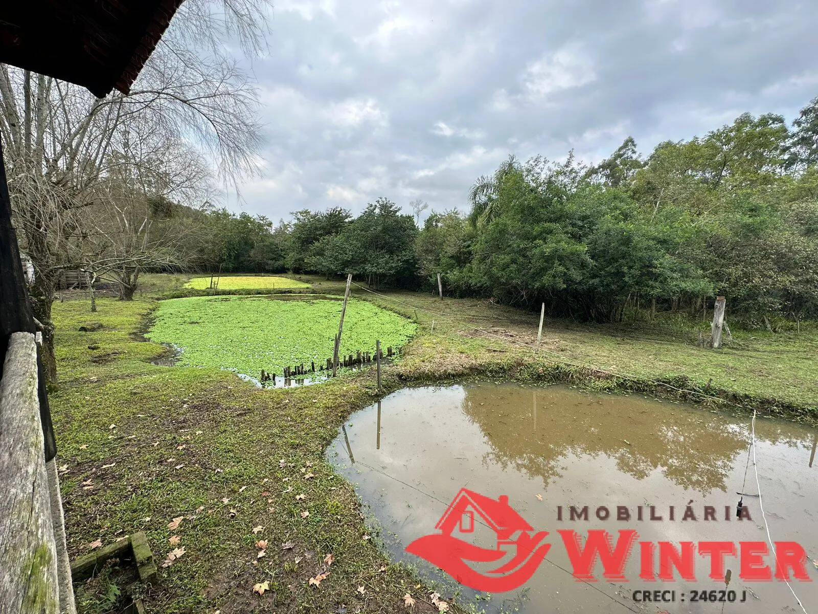 Imagem Chácara com 3,5 hectares com imóvel em Roncador