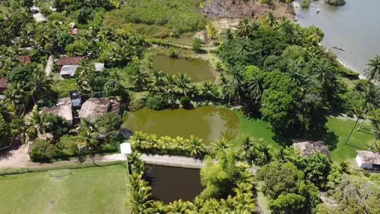 Imagem Paraíso Taipu de Dentro