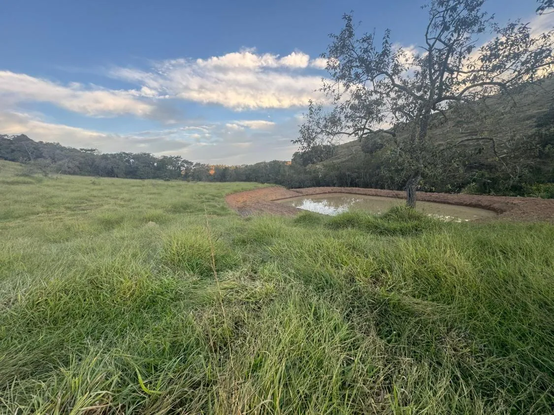 Imagem Venda de Excelente Terreno em Piedade dos Gerais/MG 3 hectares de terra