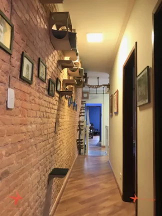 Imagem Casas à venda no Jabaquara, São Paulo-SP: 3 quartos, 1 suíte, 4 banheiros, 1 vaga de garagem e 173m² de área.