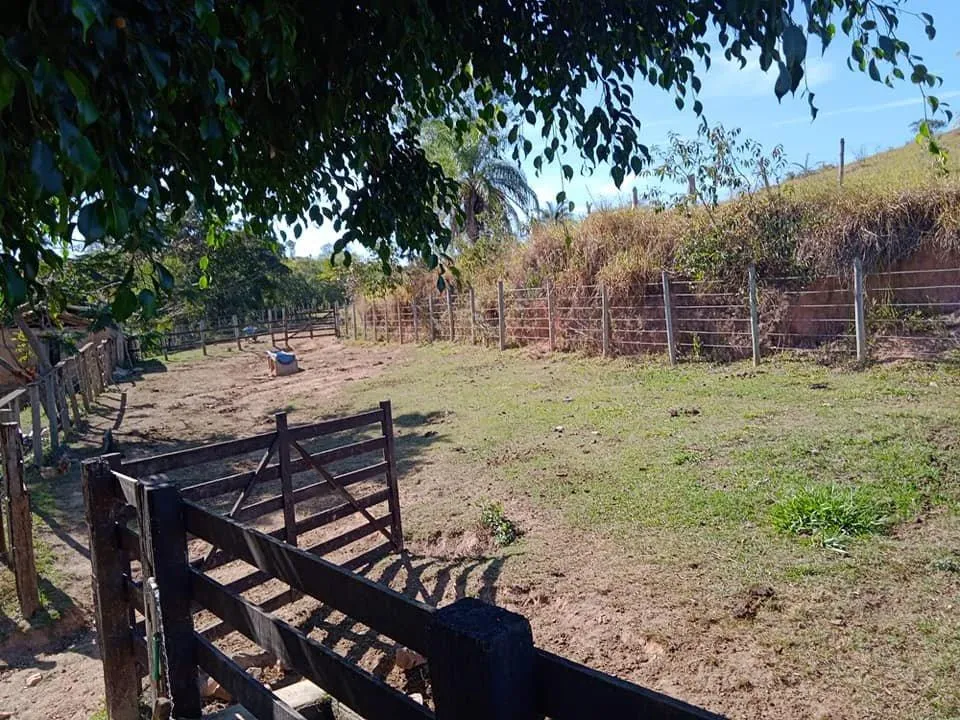 Foto do imóvel Vendo Excelente Fazenda em Bonfim/MG 90 hectares de terra