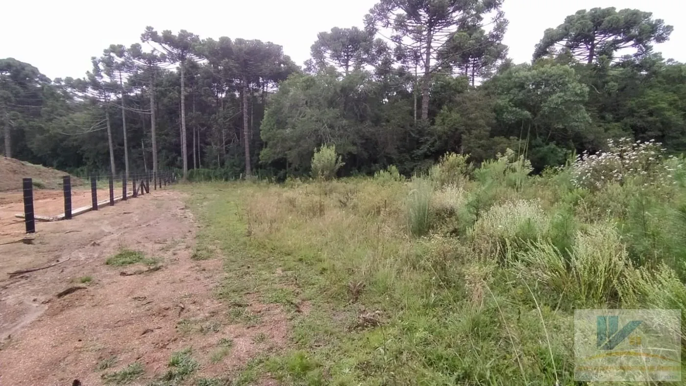 Imagem Terreno para Venda em São José dos Pinhais, Contenda