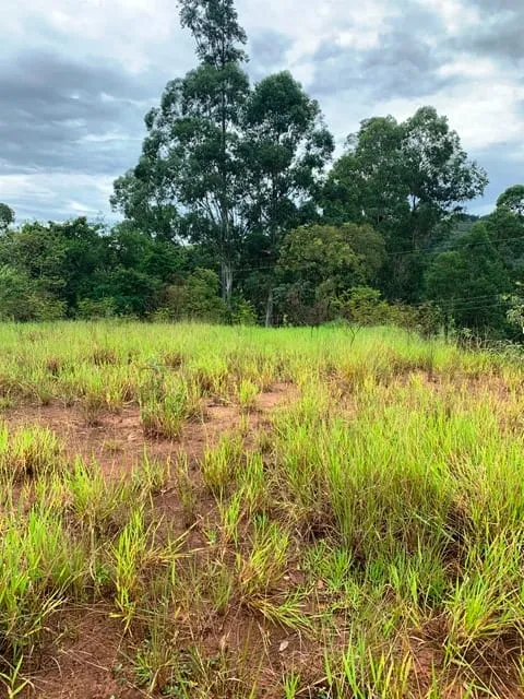 Imagem Chácara à venda 1666.67M², Goiabal, Pindamonhangaba - SP