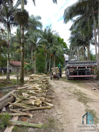 Imagem Chácara/Sítio, propriedade produtiva, 30 hectares com plantação de palmito pupunha, em Guaratuba PR