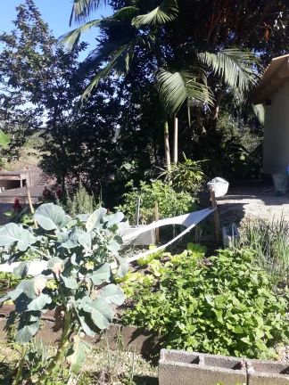 Imagem Casa a VENDA com Chácara de 849m², no Centro de SJBatista, a VENDA, Casa com chácara no centro de São João Batista. Ótima chácara no centro de SJBati