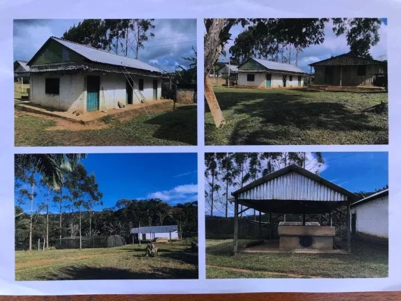 Imagem FAZENDA DE CACAU - PARAÍSO PRODUTIVO EM ITACARÉ