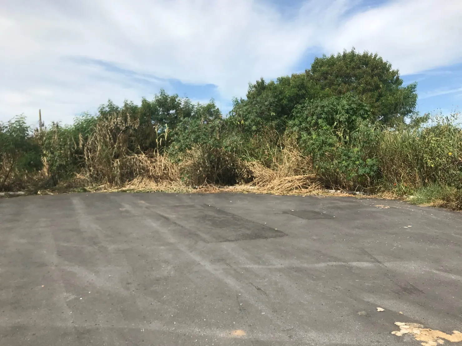 Foto do imóvel Terreno à venda 125M², Conjunto Habitacional Terra dos Ipês W, Pindamonhangaba - SP