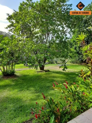 Imagem SÍTIO EM ABRANTES - CAMAÇARI