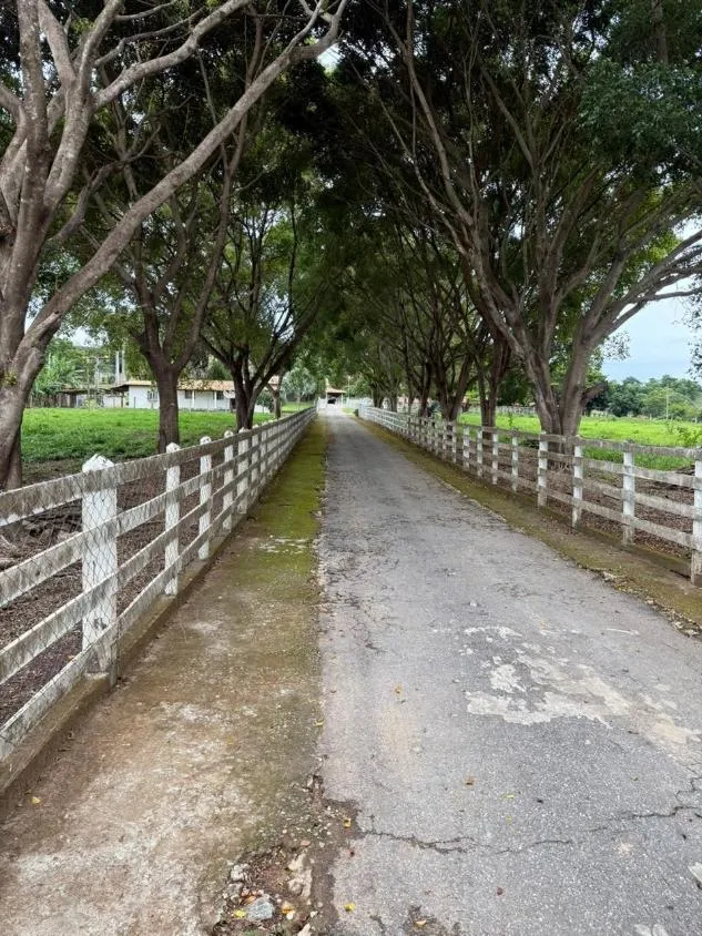 Imagem Fazendinha de Alto Padrão à Venda em Nova Serrana/MG 50 hectares de terra