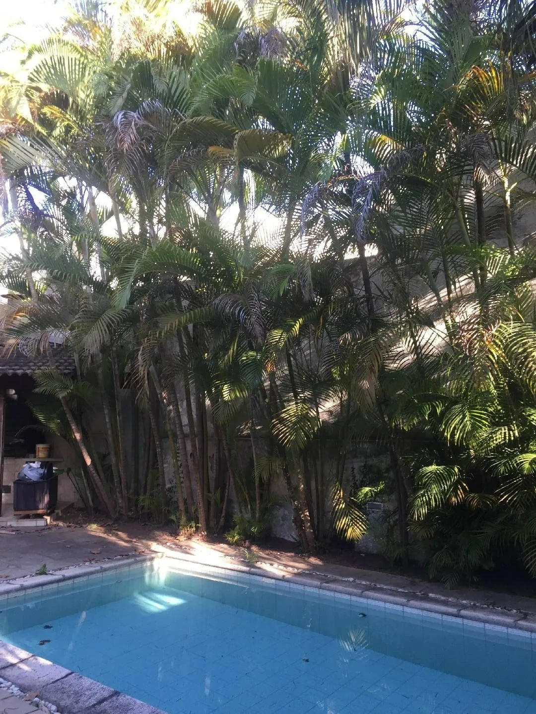 Imagem Linda Casa No Alphaville Residencial 09 - Santana de Parnaíba
