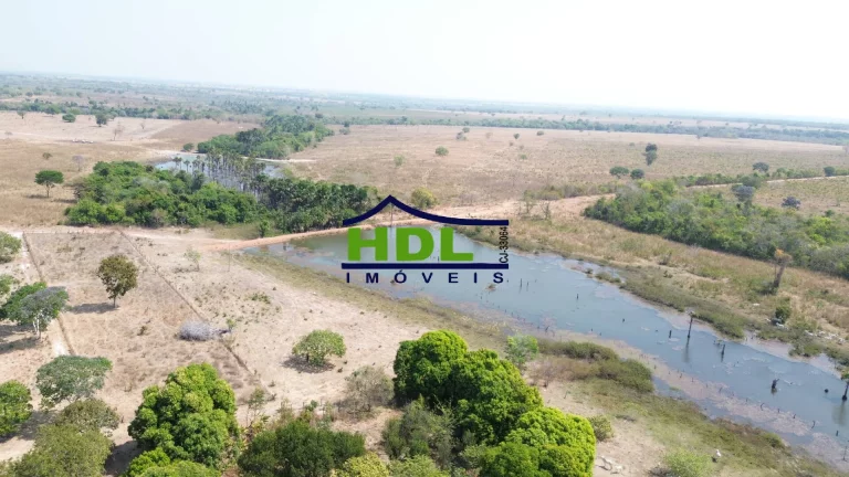 Imagem Fazenda de OPORTUNIDADE Dupla Aptidão em Peixe do Tocantins