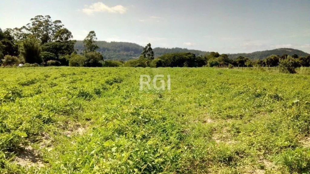 Imagem Sítio para Venda - 20060m² Zona Sul Lami