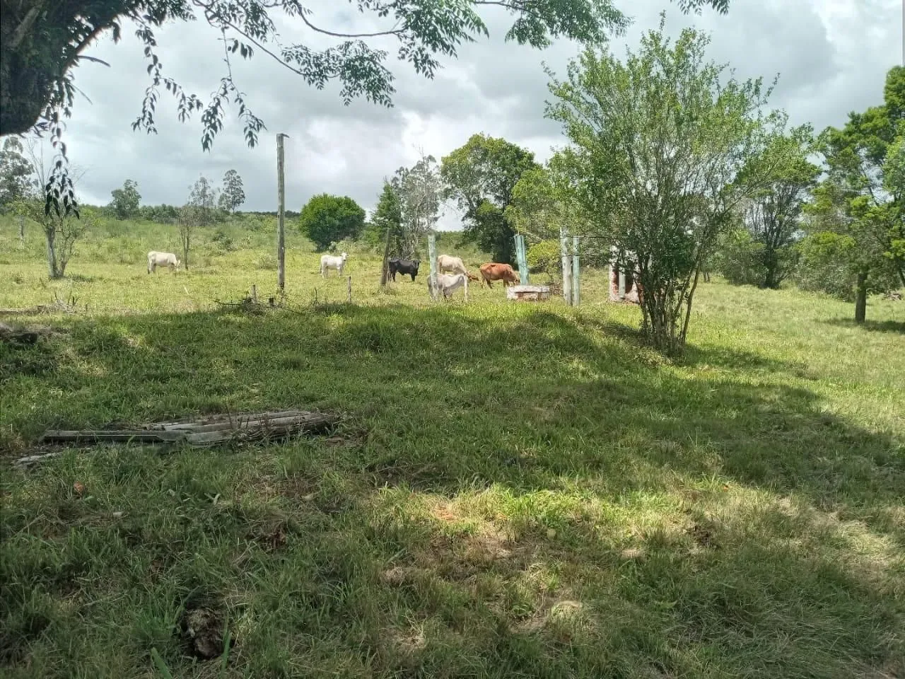 Imagem Sítio em Florida
