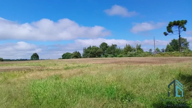 Imagem Sitio a venda 20 alqueires no Município de Pinhão - PR