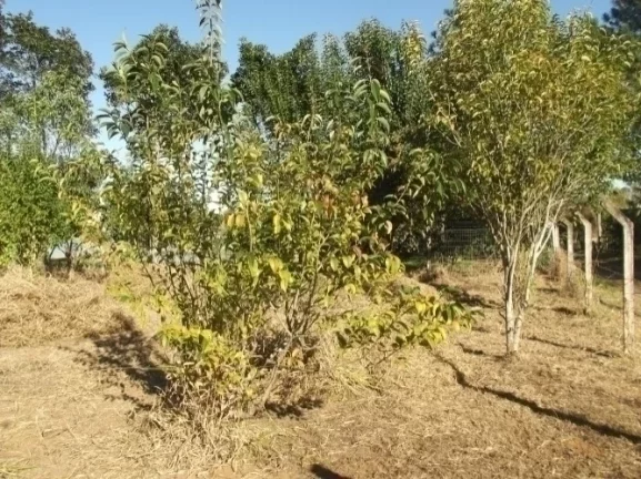 Imagem Terreno residencial em condomínio fechado, Boa Vista/Viamão