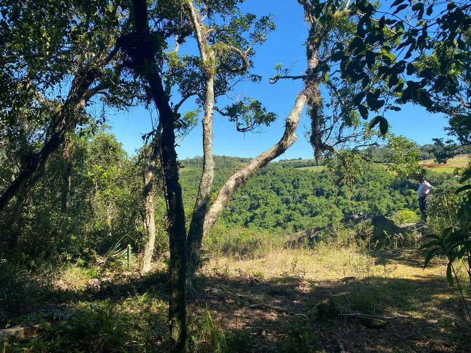 Imagem Chácara para venda , localizado em São João do Deserto, Lomba Grande em Novo Hamburgo/RS.