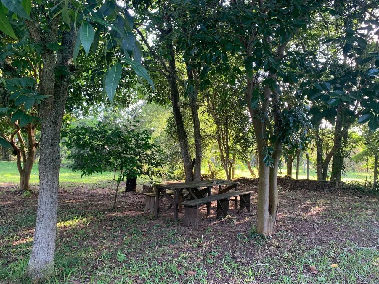 Imagem Lindo Sítio em Águas Claras - Viamão