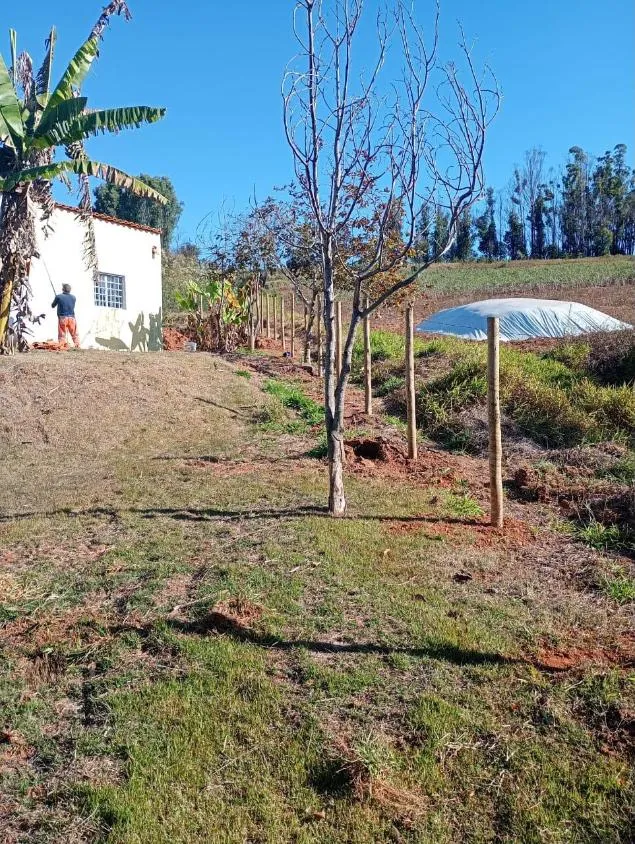 Imagem Chácara à venda em Bonfim/MG |com 1.000 m² de área