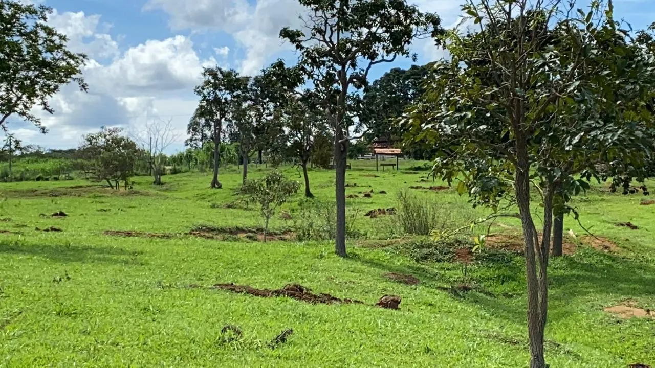 Imagem Vendo em Felixlândia/MG / 97 Hectares de terra