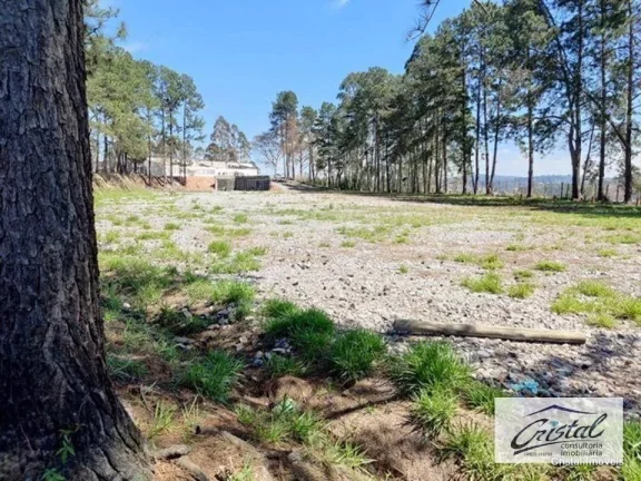Imagem Terreno para alugar, 18000 m² - Embu das Artes - Embu das Artes/SP