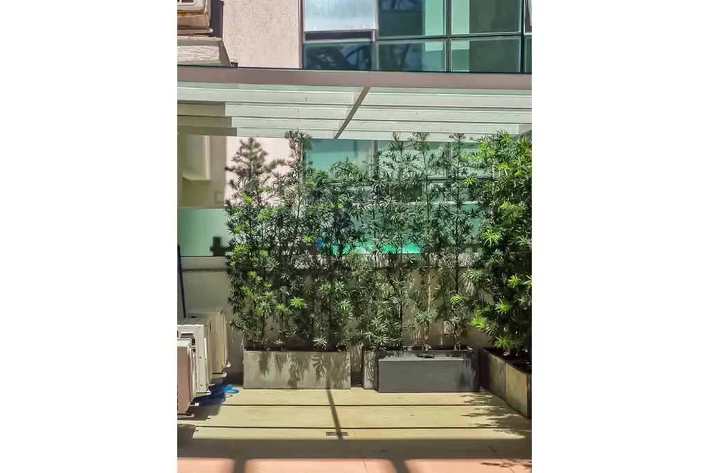 Imagem Apartamento em Menino Deus