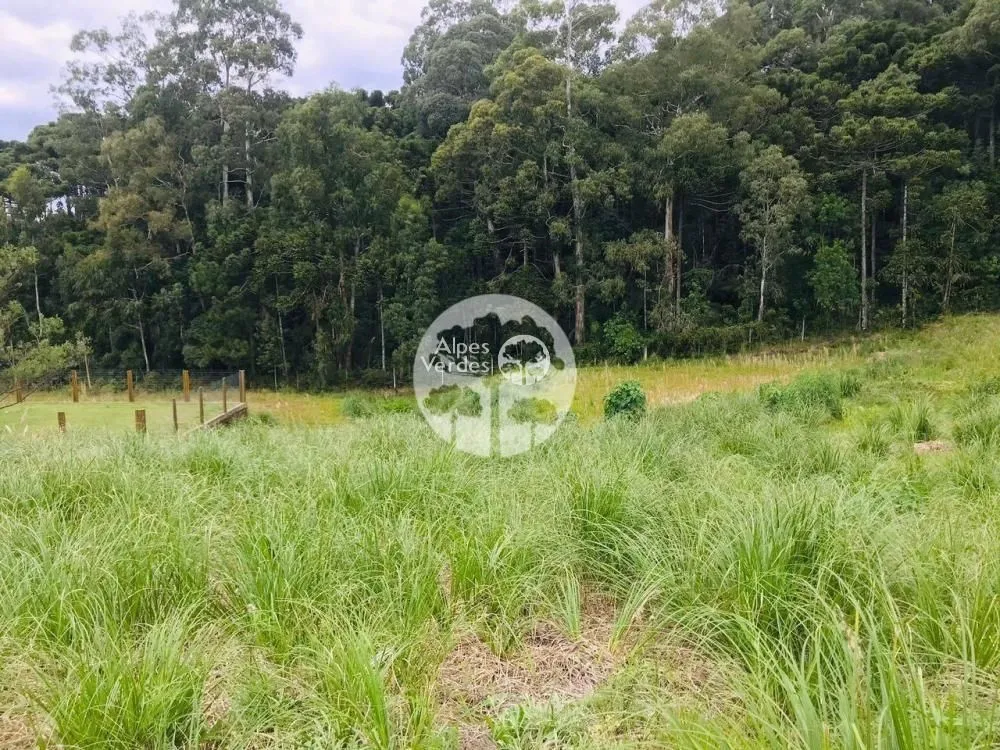 Imagem Vende-se terreno residencial de 960m2, localizado no pórtico de Gramado