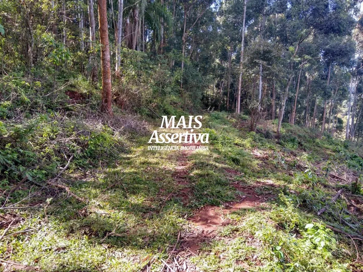Imagem Chácara para Venda em Sapiranga / RS no bairro Bela-hú