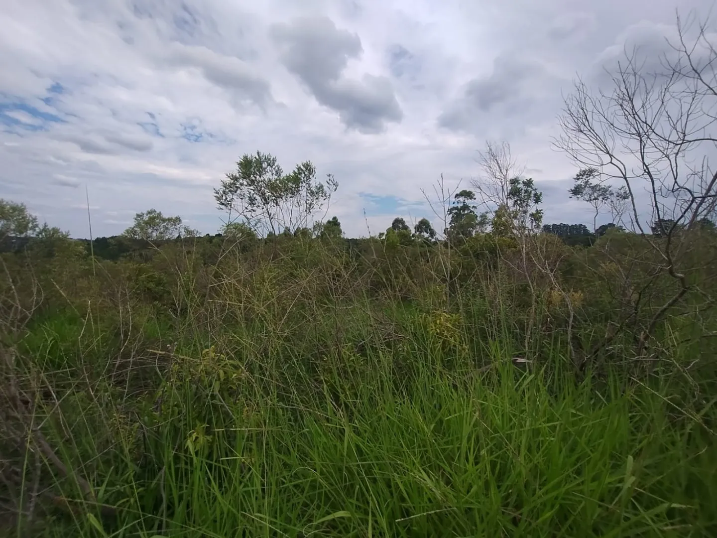 Imagem Oportunidade: Terreno em Viamão, JARDIM VIAMAR - Venda 363m²