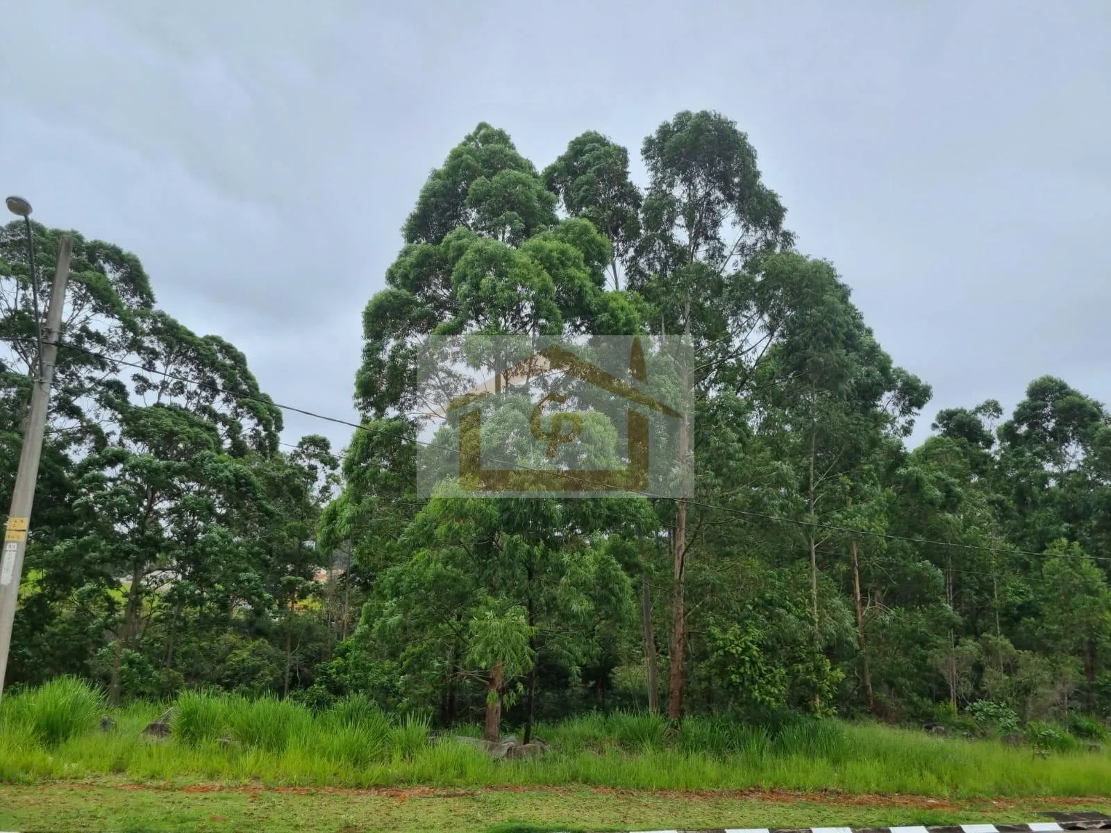 Imagem Lugar especial, clube completo, lote com 778,72 metros!!!