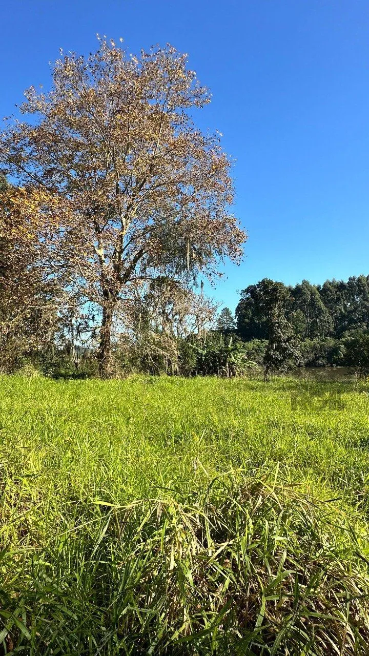 Imagem Sítio em Passo da Areia