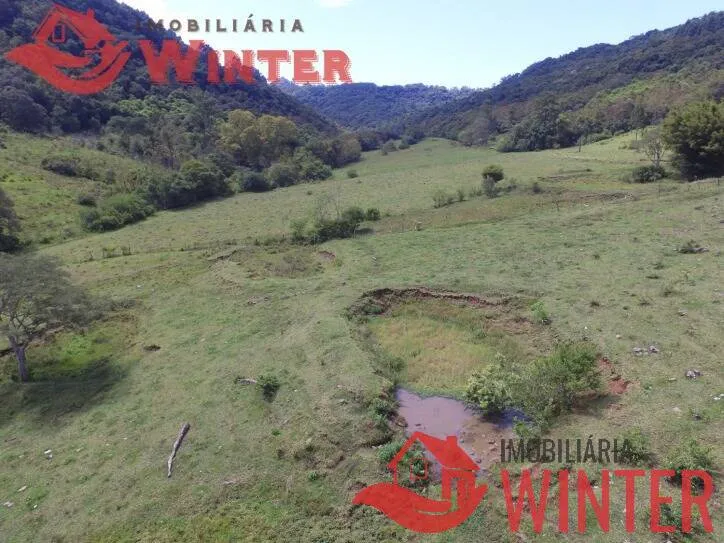 Imagem Fazenda de 61 hectares na cidade de Linha Nova.