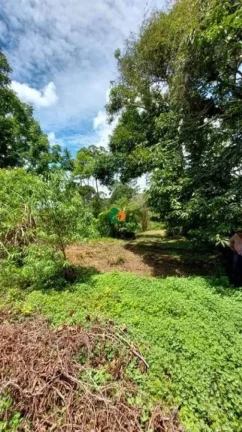 Imagem Sítio para Venda em São Roque, Jardim Cardoso (mailasqui), 3 dormitórios, 1 suíte, 1 banheiro, 1 vaga