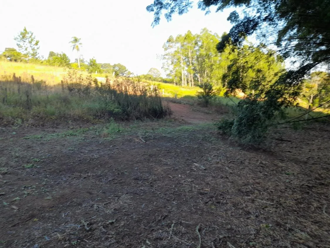 Imagem TERRENO - BAIRRO DA RESSACA - IBIUNA