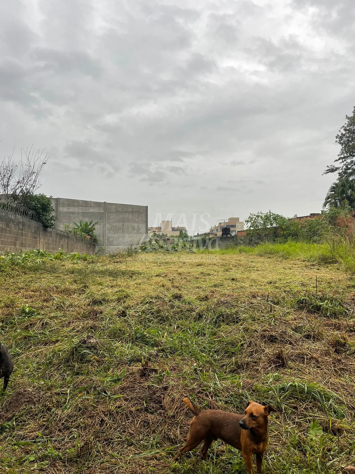Foto do imóvel Terreno para venda na Scharlau, São Leopoldo - 310,00m²