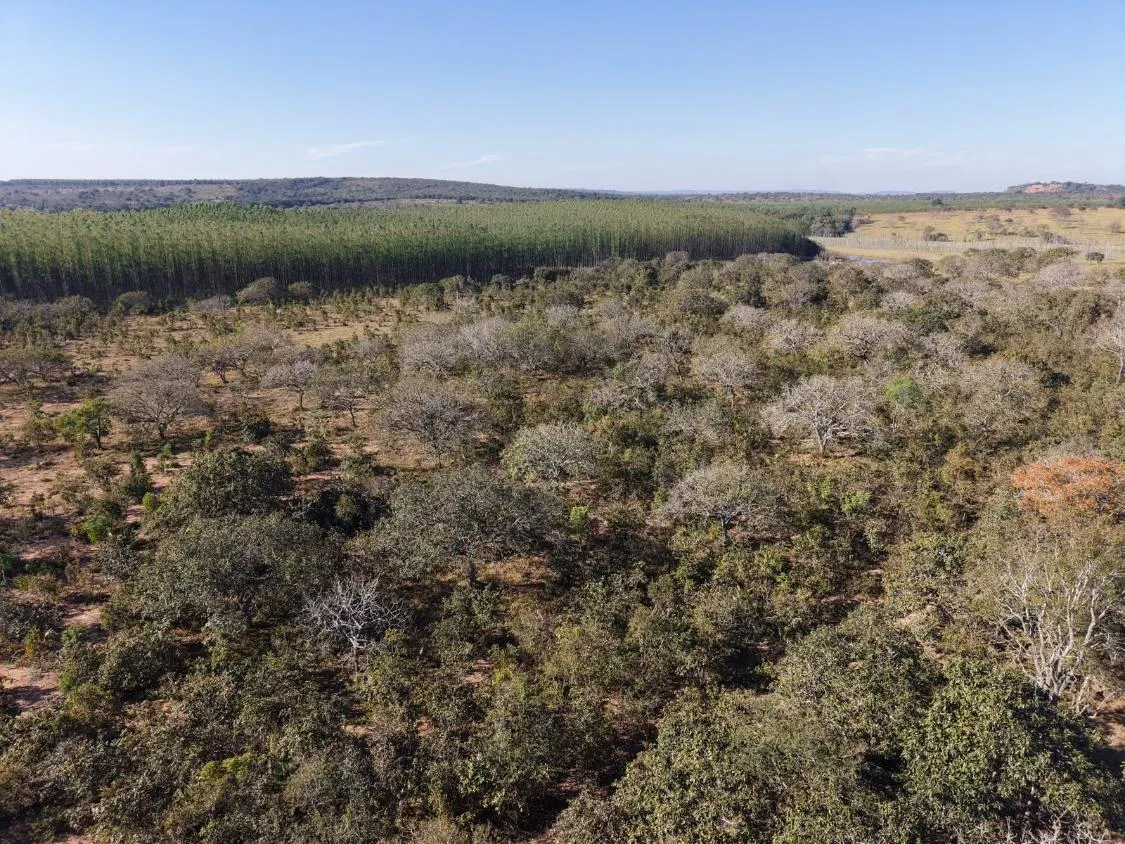 Imagem Fazenda à Venda em Papagaios/MG ? 150 Hectares