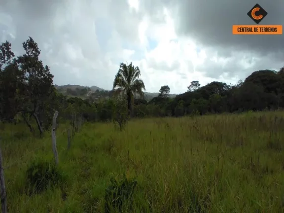 Imagem TERRENO NA VIA PARAFUSO