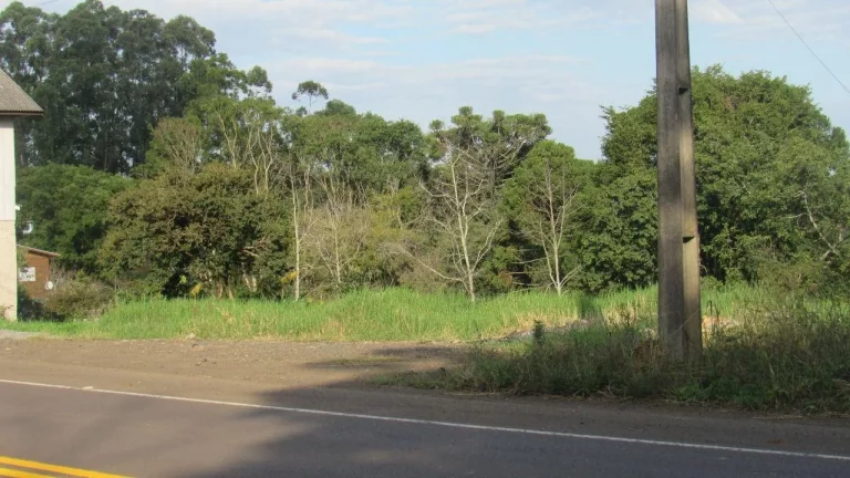 Imagem Casa para Venda em Concórdia, Santo Antônio, 2 dormitórios, 1 banheiro