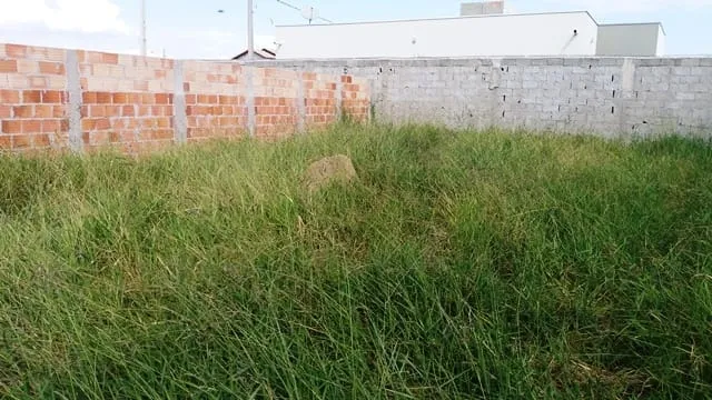 Imagem Terreno à venda 268.52M², Cesar Park, Pindamonhangaba - SP