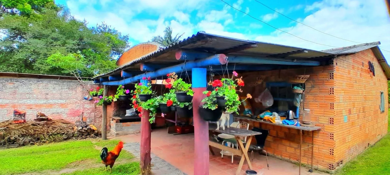 Imagem Terreno no Bairro Ponta Grossa